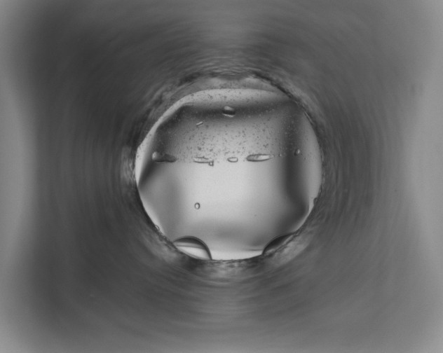 X0000111870384200908061259