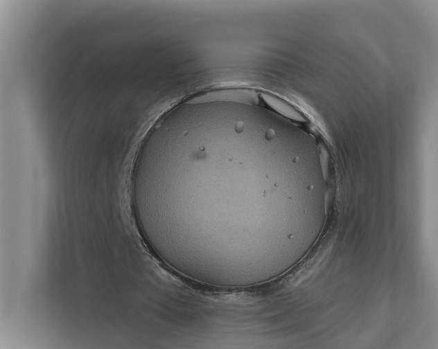 X0000111870385200908061258