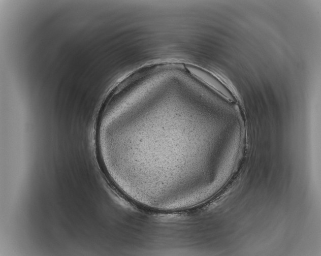 X0000111870389200908061258