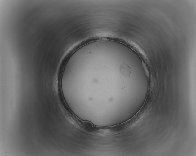 X0000111870391200908061258