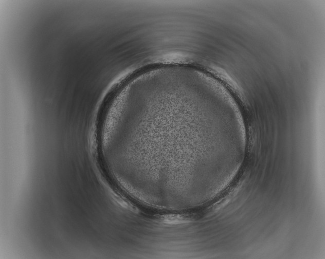 X0000111870392200908061258