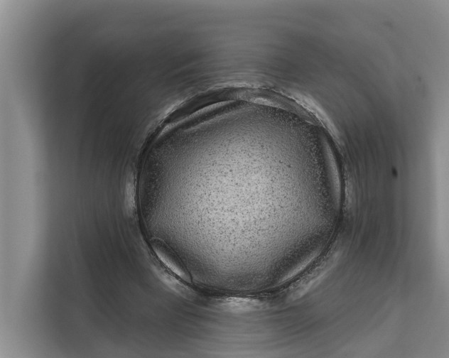 X0000111870393200908061258