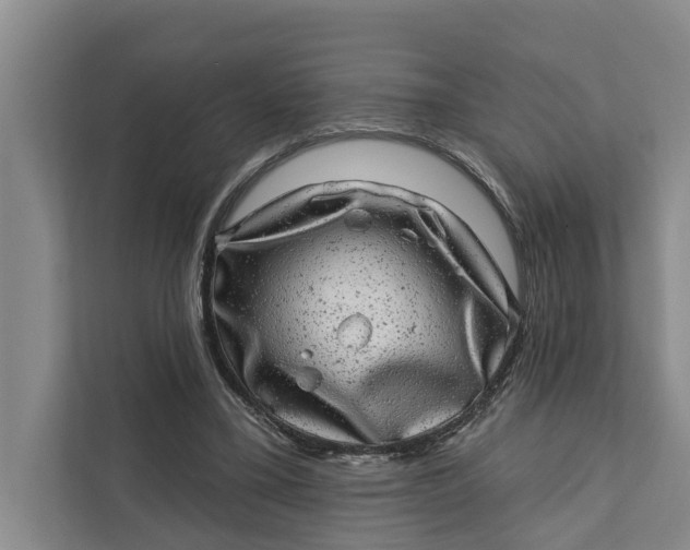 X0000111870395200908061258