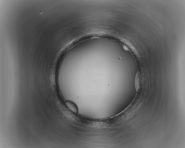 X0000111870399200908061258