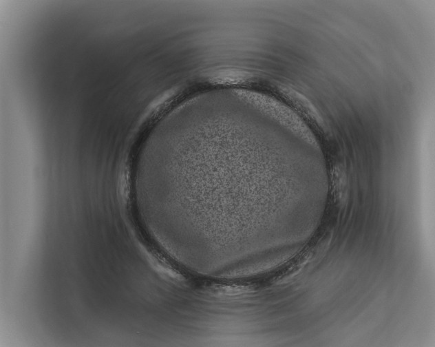 X0000111870400200908061258