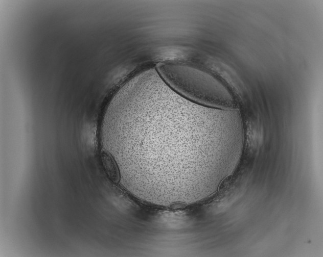 X0000111870403200908061258