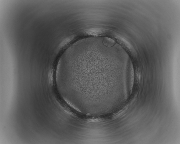 X0000111870404200908061258