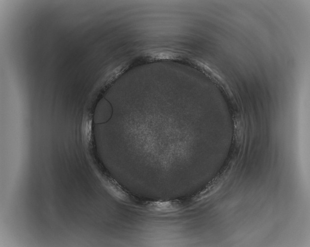 X0000111870406200908061258