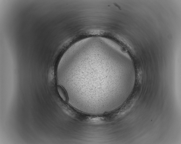 X0000111870407200908061258