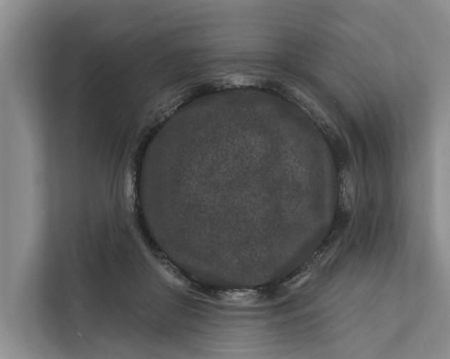 X0000111870410200908061258