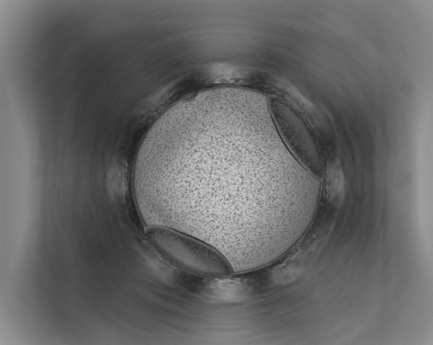 X0000111870413200908061258