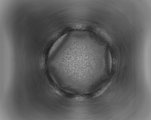 X0000111870416200908061258