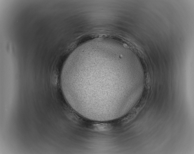 X0000111870417200908061258