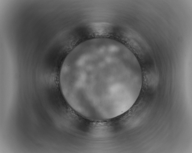 X0000111870419200908061258