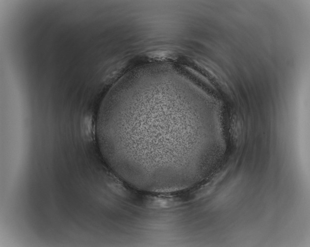 X0000111870420200908061258