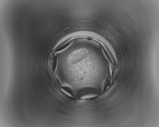 X0000111870425200908061258