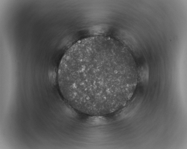 X0000111870427200908061258