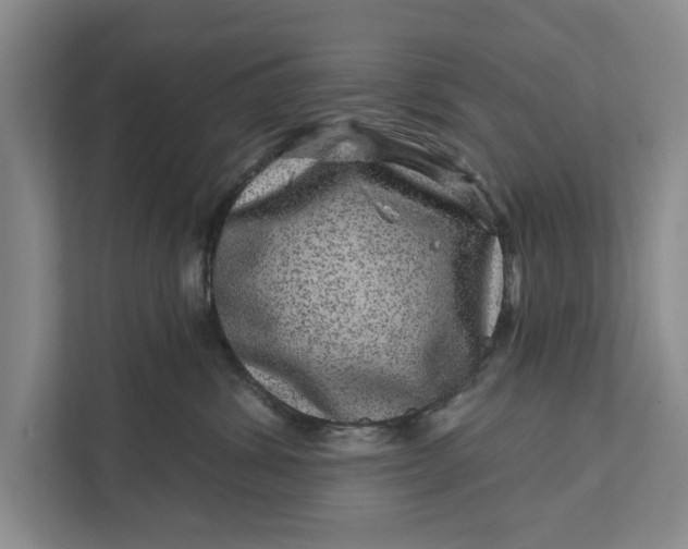 X0000111870428200908061257