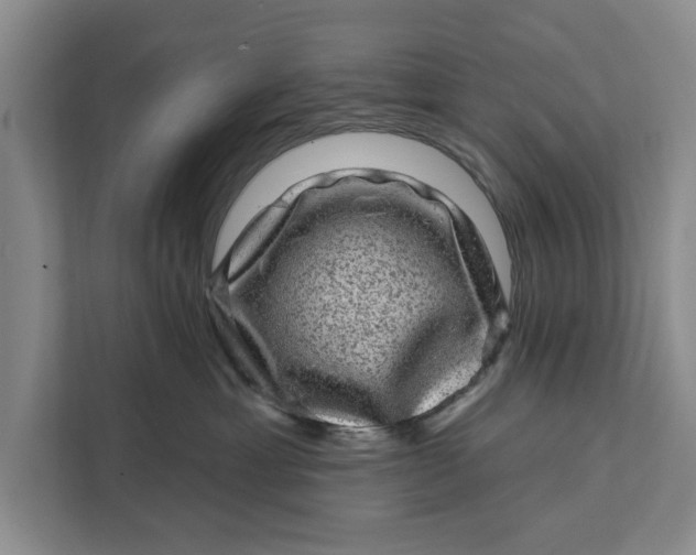 X0000111870429200908061257