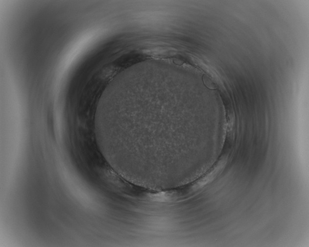 X0000111870430200908061257