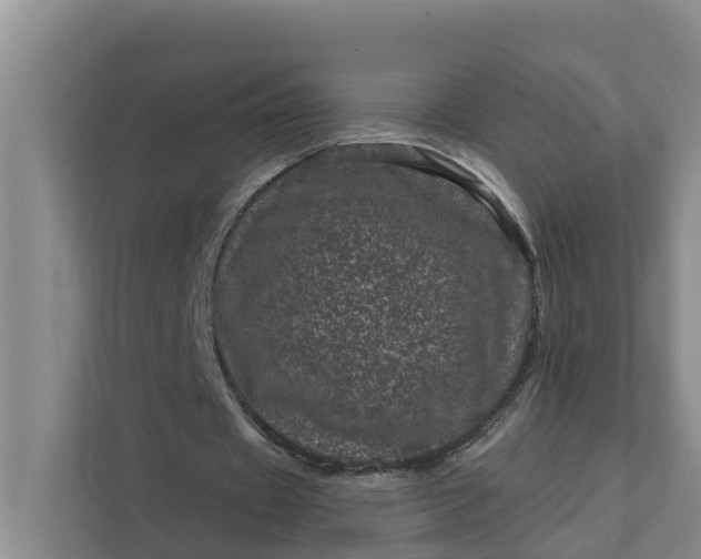 X0000111870433200908061257