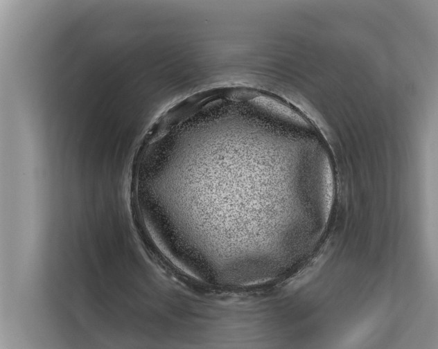 X0000111870434200908061257