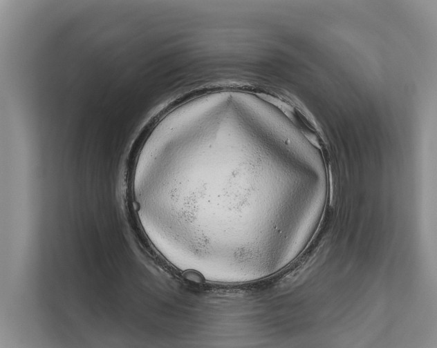 X0000111870435200908061257