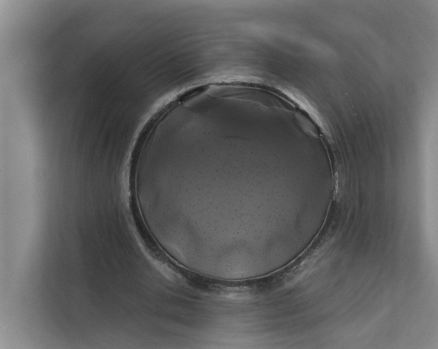 X0000111870438200908061257