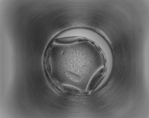 X0000111870439200908061257