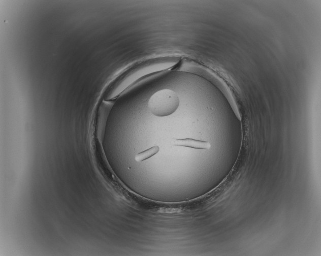 X0000111870440200908061257