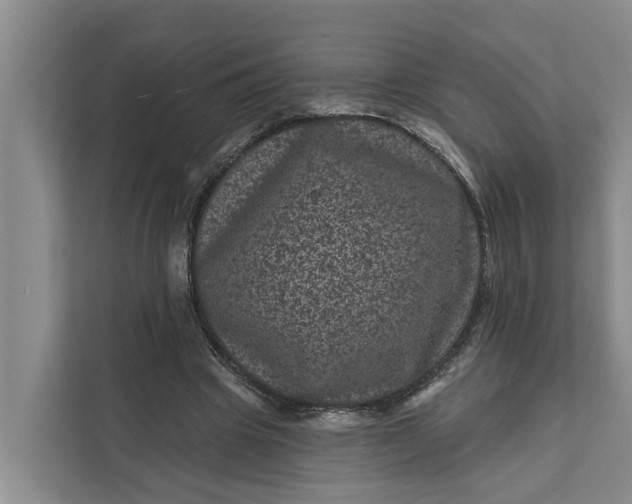 X0000111870441200908061257