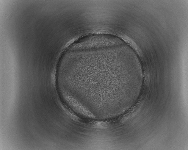 X0000111870442200908061257