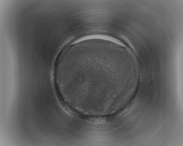 X0000111870443200908061257