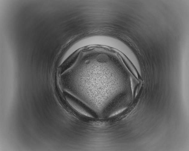 X0000111870444200908061257