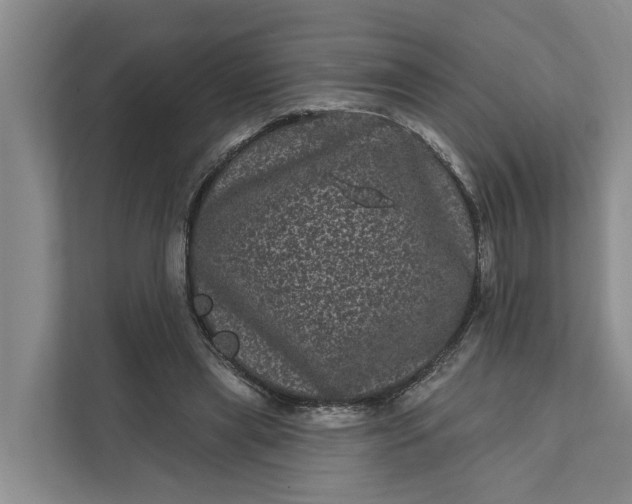 X0000111870445200908061257