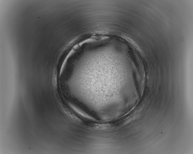 X0000111870446200908061257