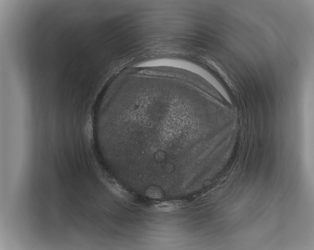 X0000111870447200908061257