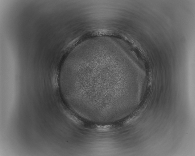 X0000111870450200908061257