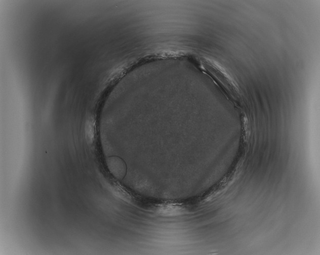 X0000111870451200908061257