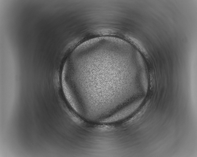 X0000111870453200908061257