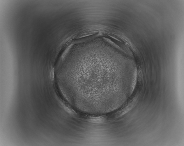 X0000111870454200908061257