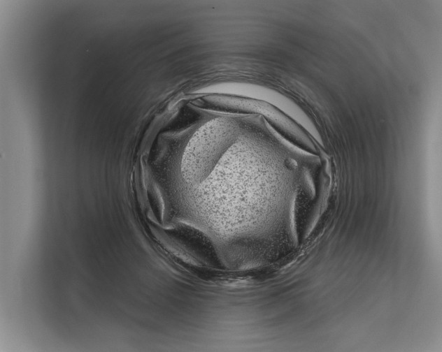 X0000111870456200908061257