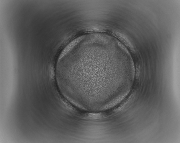 X0000111870457200908061257