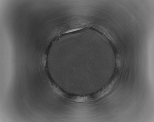 X0000111870458200908061257