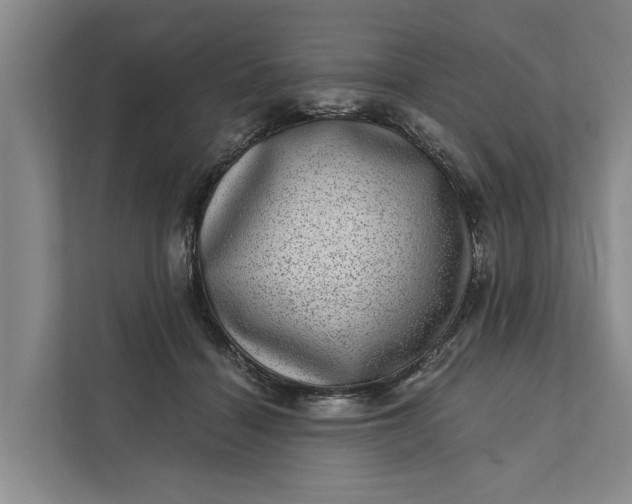 X0000111870460200908061257