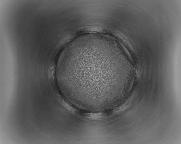 X0000111870462200908061257