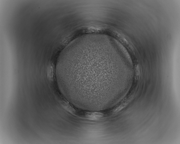 X0000111870463200908061257