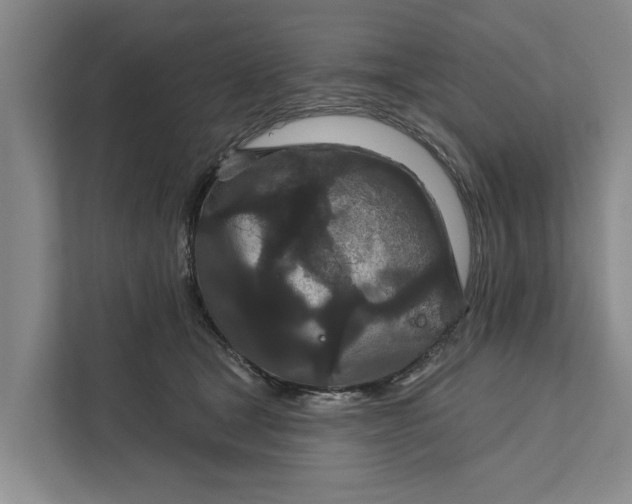 X0000111870465200908061257