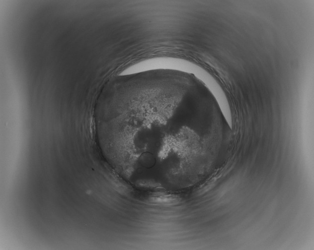 X0000111870467200908061257