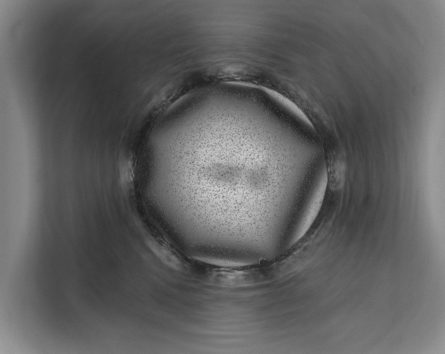 X0000111870472200908061257